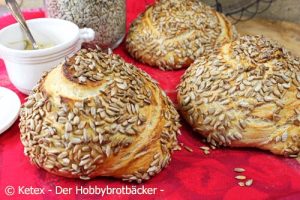 Read more about the article Senfschnecken