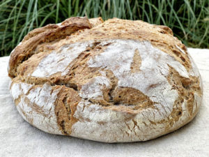 Read more about the article Schweizer Nussbrot aus dem Thermomix