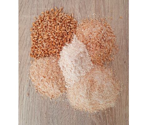 BIO-Weizen - ganzes Korn, Schrot, Vollkornmehl