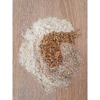 BIO-Roggen (2kg) ganzes Korn